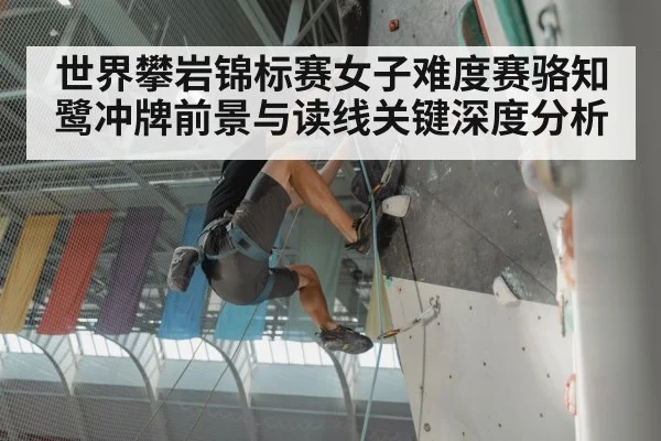 sport climbing competition